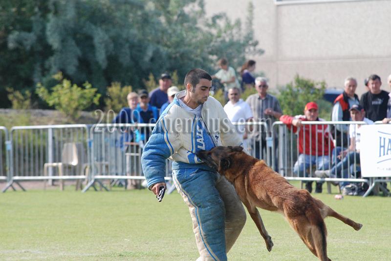 3 EME SELECTIF 2009 GRANDE SYNTHE 728.jpg